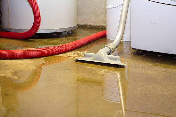 Best Water damage restoration company  in Lionville, PA